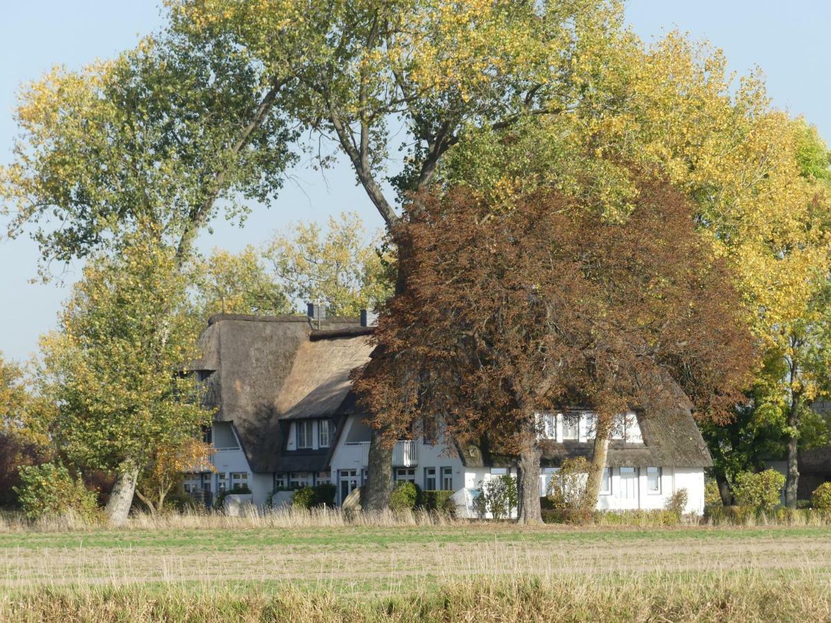 Landhaus Am Haff Stolpe auf Usedom Luaran gambar